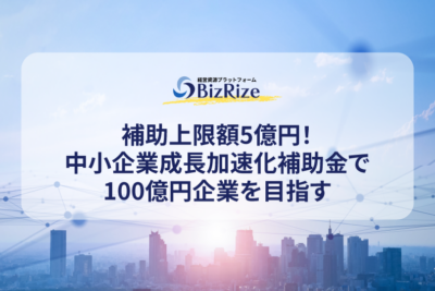 補助上限額5億円！中小企業成長加速化補助金で100億円企業を目指す